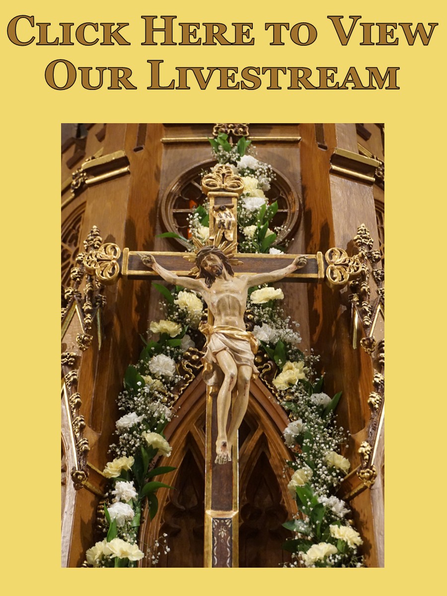 Livestream 900 x 1200